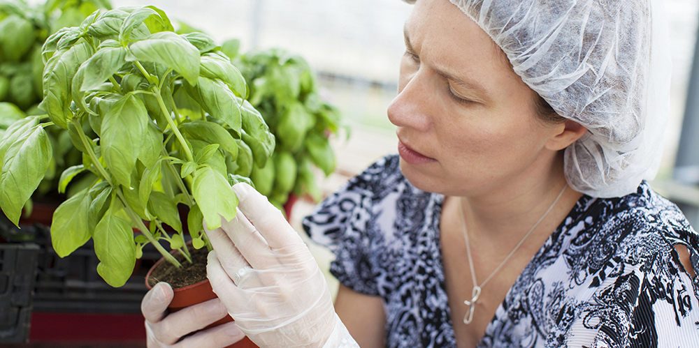 Making Integrated and Disease Management Work