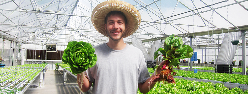 Getting Serious about Hydroponic Vegetable Production