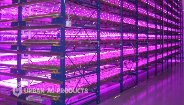 Updates: ICCEA, Hort Americas and UrbanAgNews.com