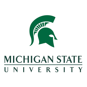Michigan state university
