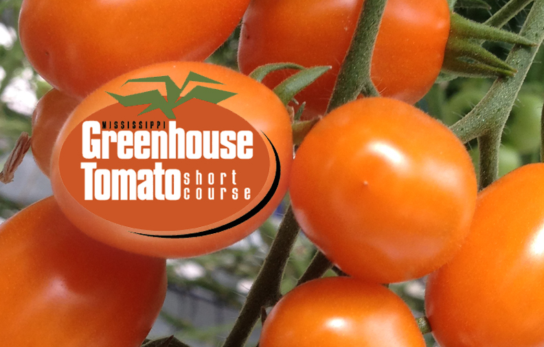 Greenhouse Tomato Short Course