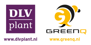 GreenQ-courses