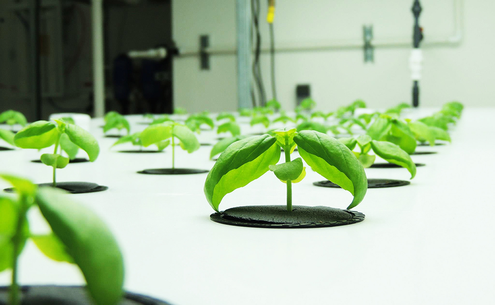 Indoor Harvest Corp CLARA Vertical Farm Project in Texas