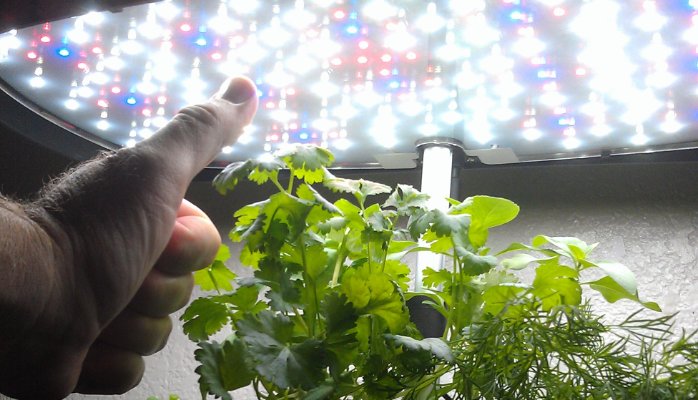 Indoor Vertical Farming 2015: What I’ve Learned Indoor Vertical Farming Jim Pantaleo