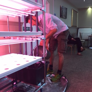 Sustainability expert Dr. Ian Tennant from Local Roots Limited installing the VydroFarm from HydroGarden