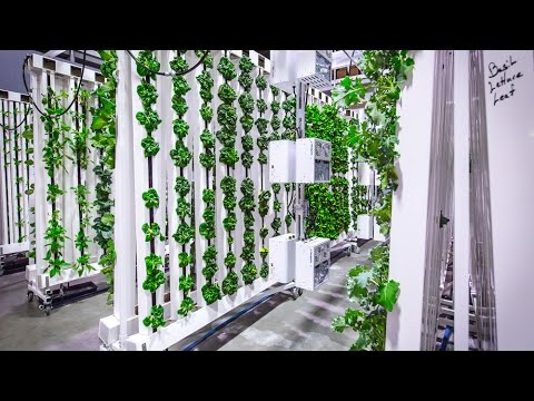The Bright Agrotech ZipFarm™