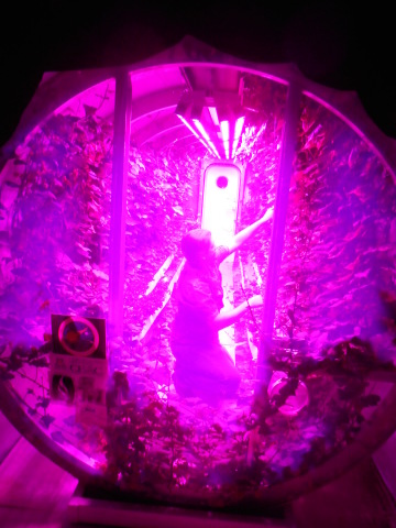 University of Arizona and Philips Lighting collaborated to create improved lighting for plant production in Mars-lunar greenhouses. (Photo: Business Wire)