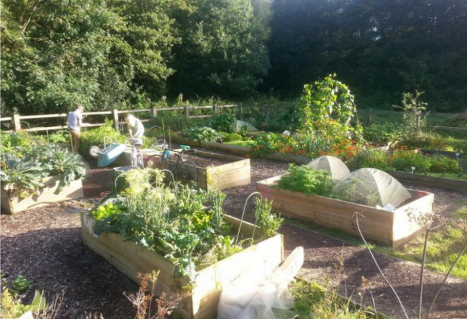 Critical Foodscapes: what does the future hold for urban gardening?