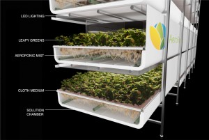 aerofarms-diagram