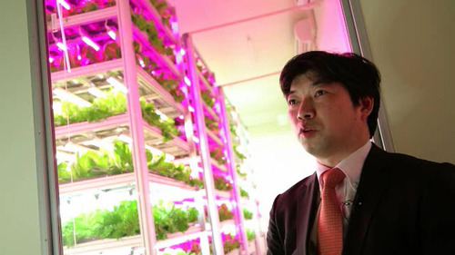 Shigeharu Shimamura shows his produce.