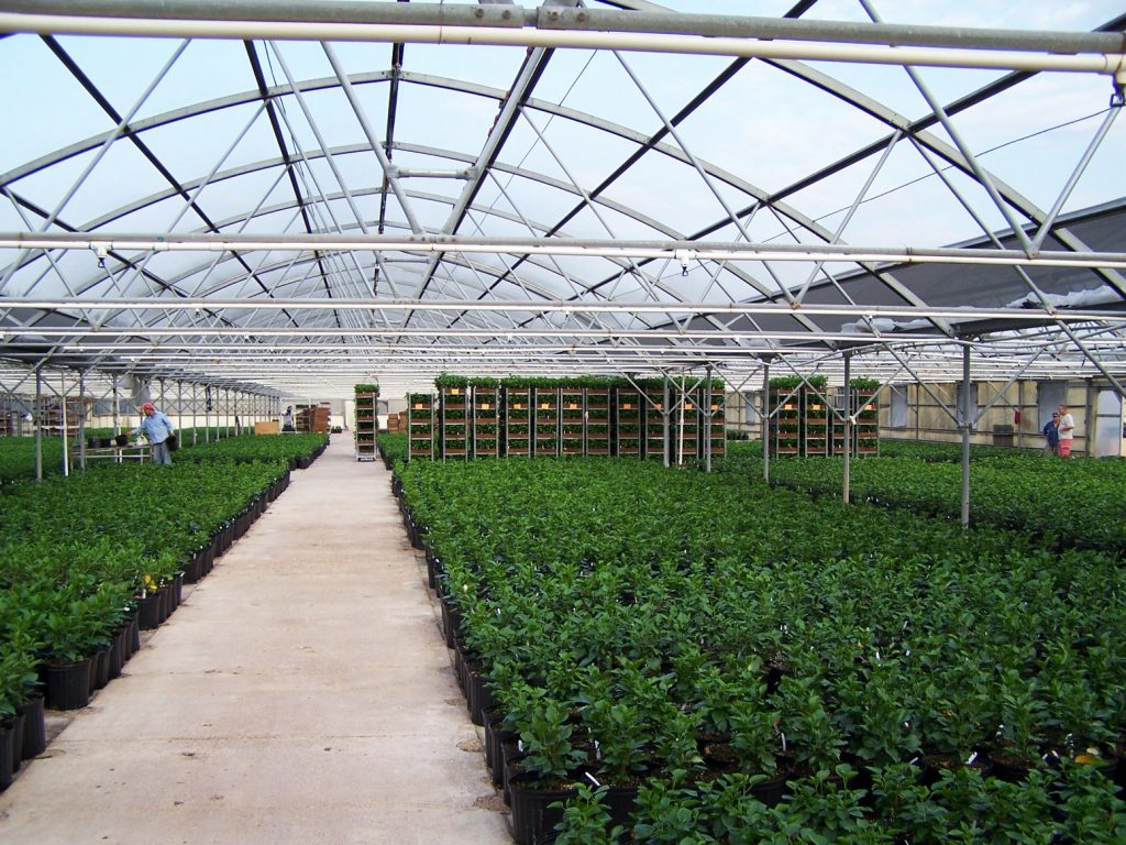 MISSION-texas-greehouse-sale