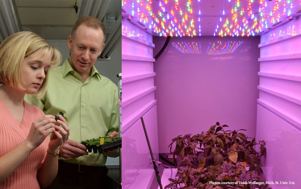 michigan-state-univeristy-extension-greenhouse-course