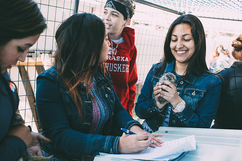 Nebraska-public-schools-1