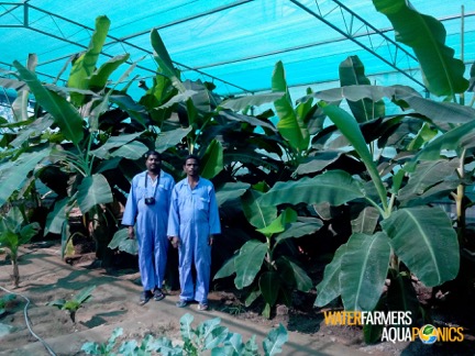 BahrainWaterFarmers