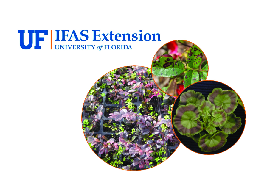 University of Florida Greenhouse Training Online courses Costing and Profitability Starts August 14!