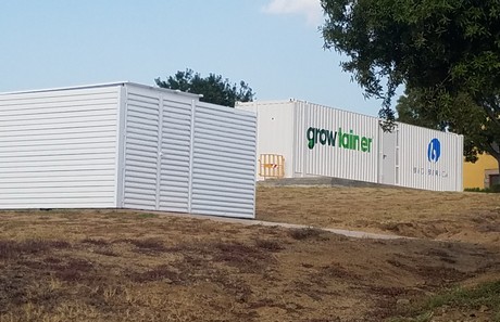 growtainerhill