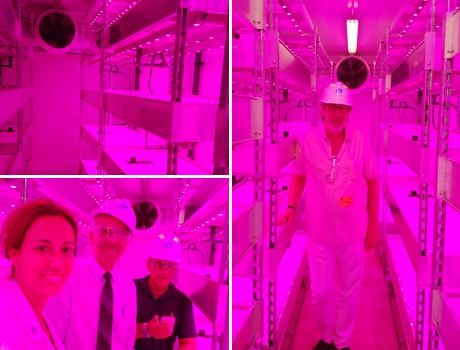 growtainerleds