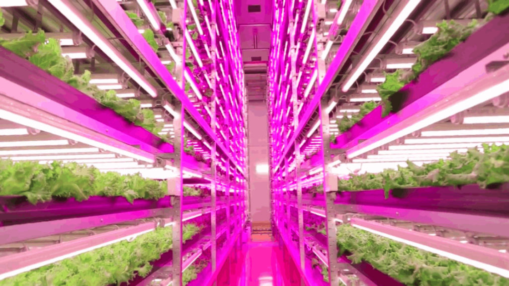 JPFA offering online training course on plant factories