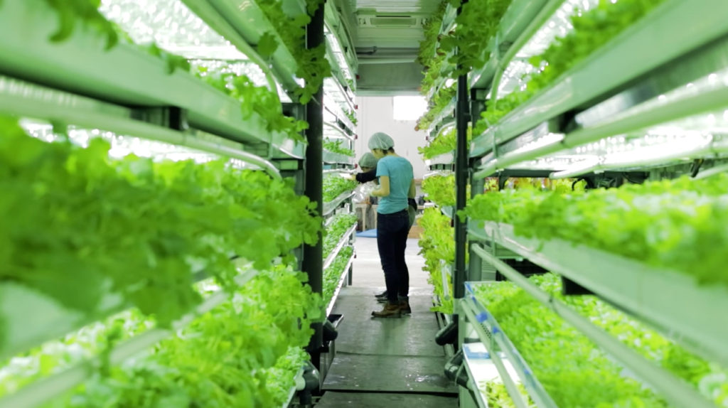 Local Roots Discloses Its Global Sustainable Indoor Farming Initiative