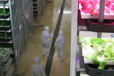 Lighting in greenhouses and vertical farms course at Wageningen University