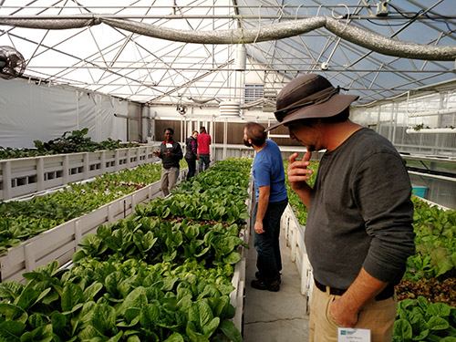 2018 Farm Bill is Enormous Opportunity for Urban Agriculture