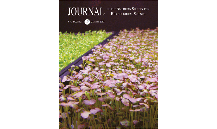 Using light to enhance the nutritional value of microgreens