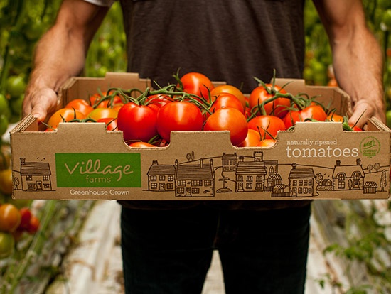 Village farms uses technology to increase efficiency & produce better crops