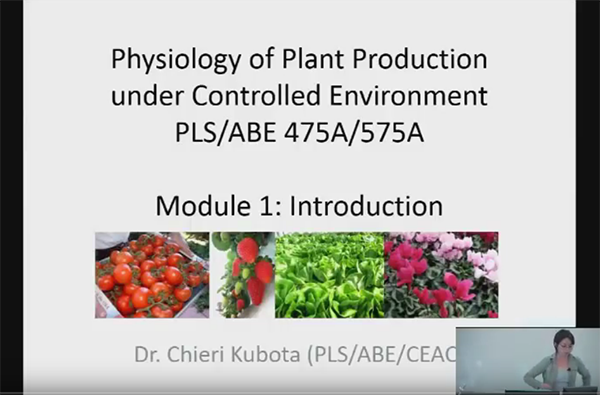 CEAC Greenhouse Plant Physiology and Technology Course – Week 1