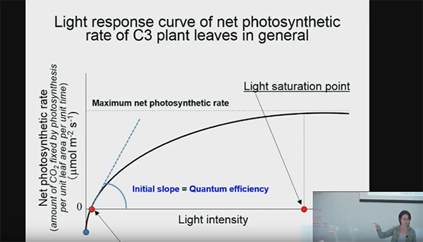 CEAC Greenhouse Plant Physiology and Technology Course – Week 2-2