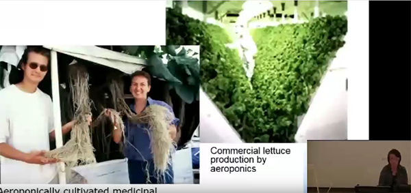 CEAC Greenhouse Plant Physiology and Technology Course – Week 7-2