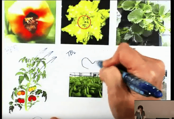CEAC Greenhouse Plant Physiology and Technology Course – Week 8-2
