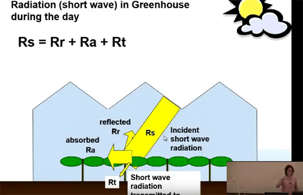 CEAC Greenhouse Plant Physiology and Technology Course – Week 9-1
