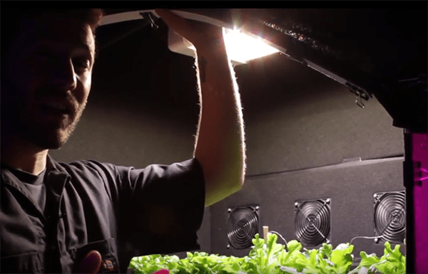 Light Quality with Farmer Tyler and Dr. Ricardo Hernandez