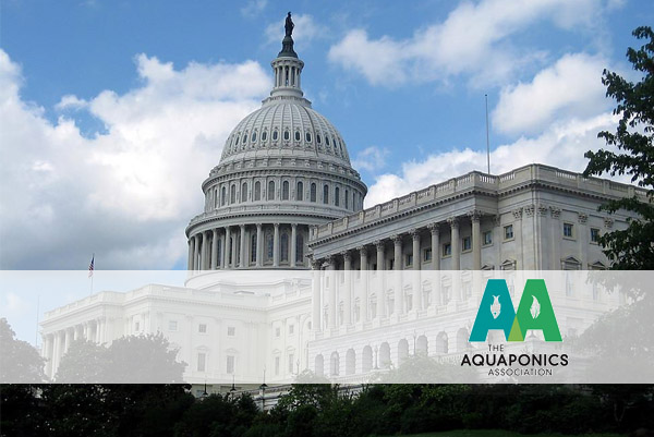 Send an Organic Message to Congress