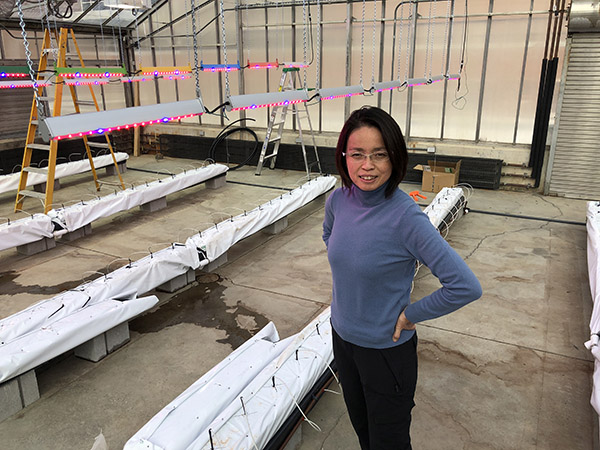 What are the production and training issues facing controlled environment agriculture growers?