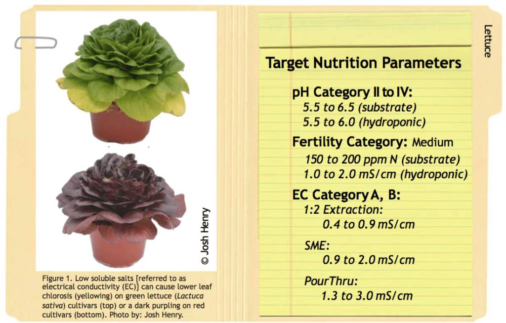 e-Gro Nutritional Monitoring Series: Lettuce