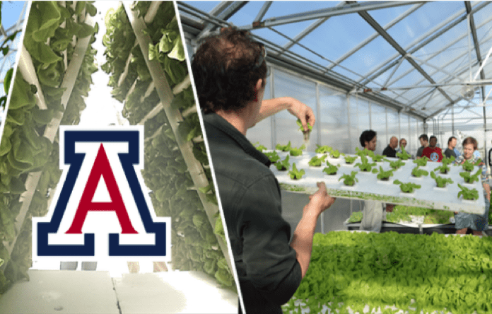 Hydroponic Intensive Workshops at the Controlled Environment Agriculture Center