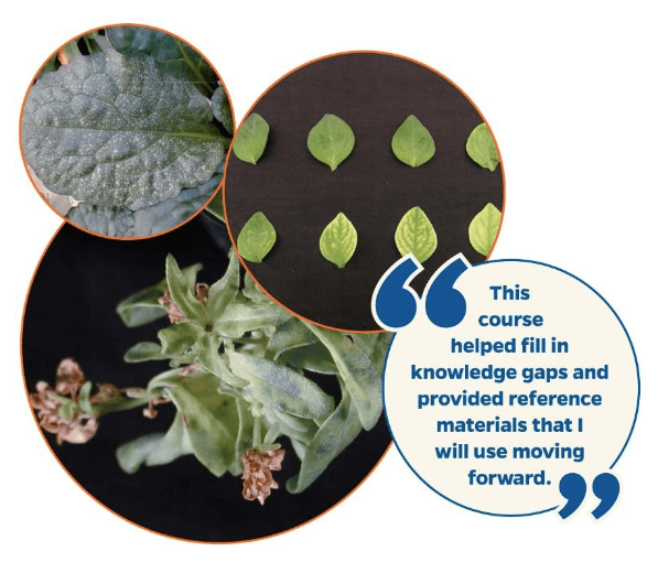 University of Florida offers Nutrient Management Level 2 Online Course