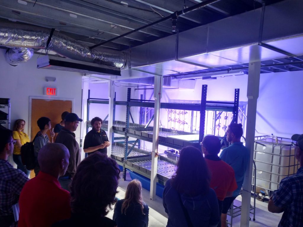 Farm Bill Creates Office for Urban Agriculture and Innovative Production