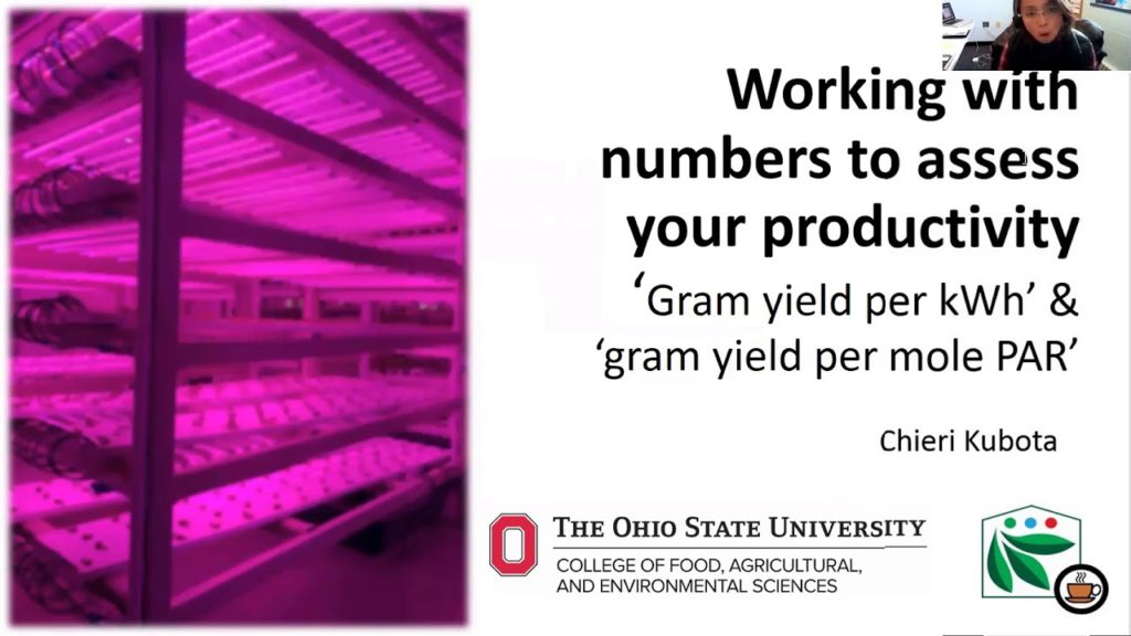 Working with numbers to assess your productivity – g/kWh & g/mol PAR