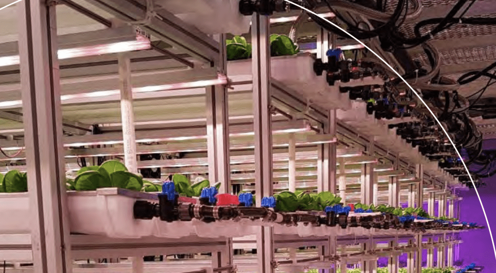 VertiFarm 2019 in The Netherlands