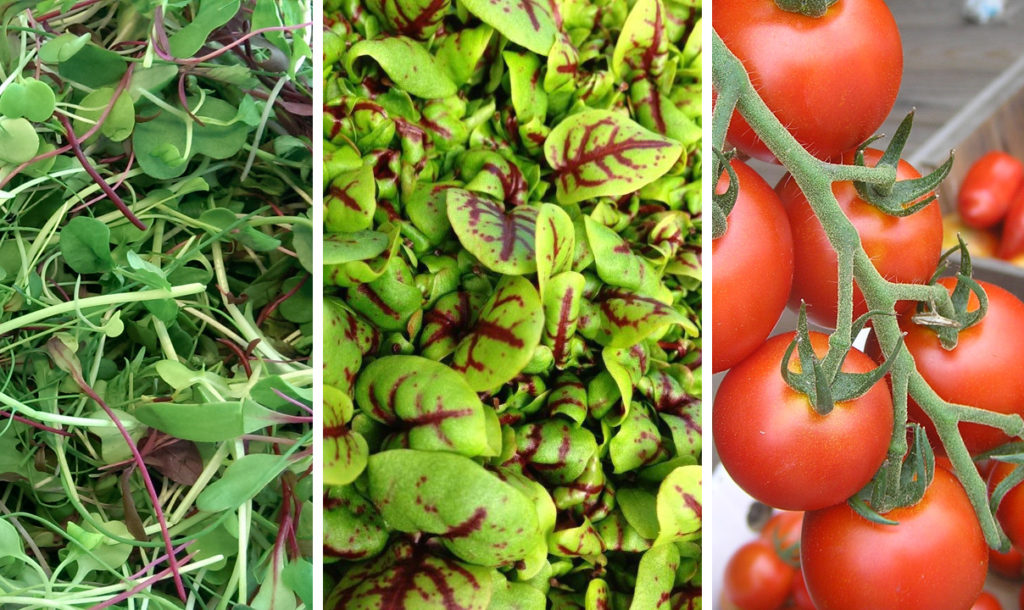 Survey of specialty crops growers by Purdue University