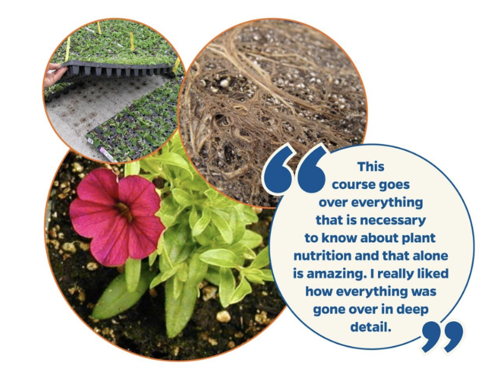 University of Florida Nutrient Management Course starts July 11