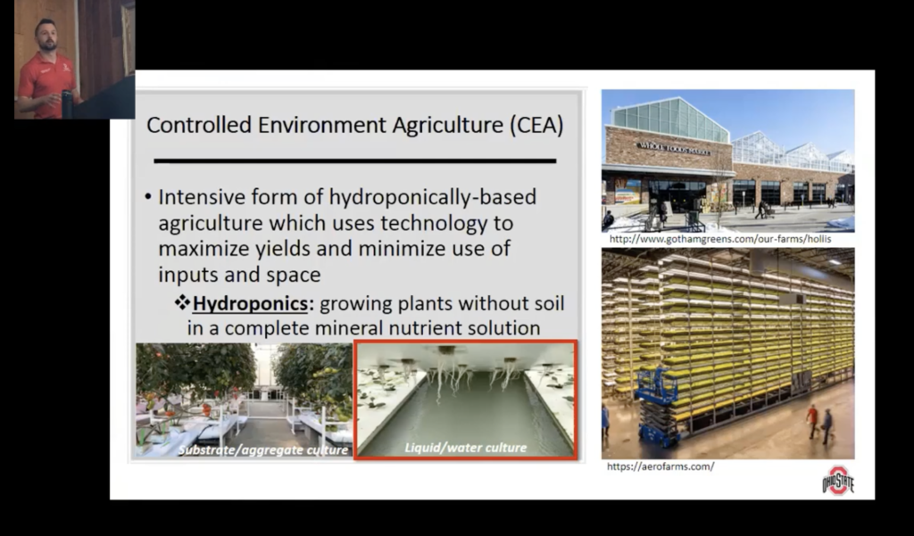 Effects of low nutrient solution pH on hydroponic leafy greens