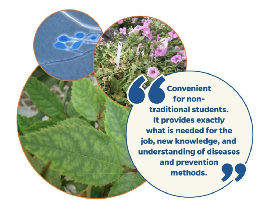University of Florida offers online course for Disease Management