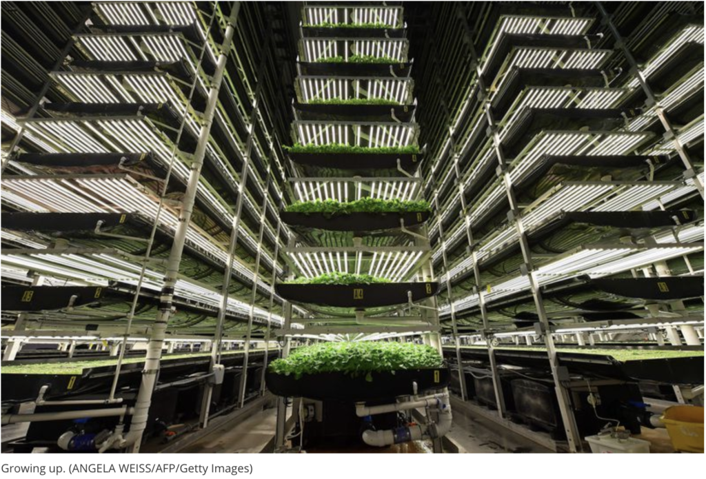 New York City needs more vertical farms: Urban growth on a higher plane