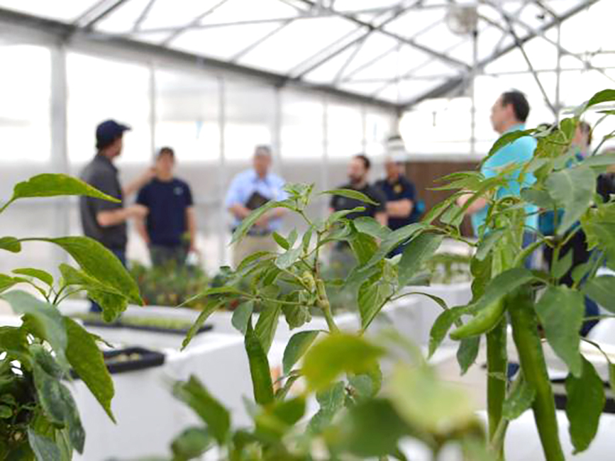 University of Arizona offers Greenhouse Crop Productions and Engineering Design short course