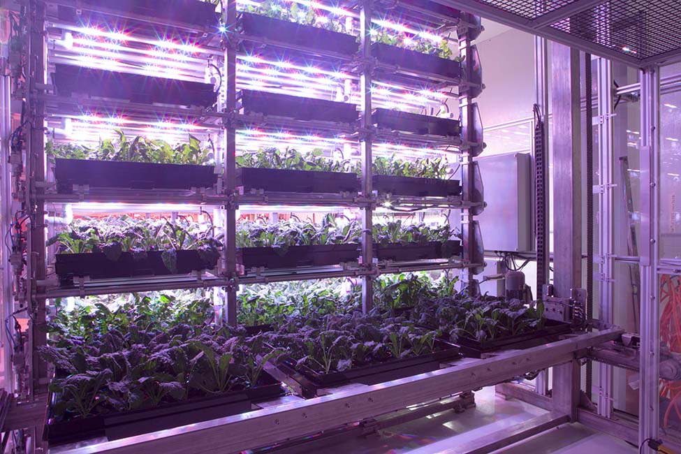 Elevate Farms Inc.: Tech-based Vertical Farming Company Completes Capital Funding to Scale Operations and Secure IP
