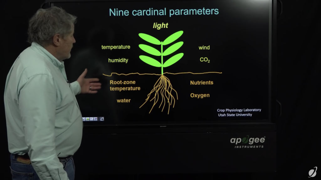 Cannabis Grow Lighting with Dr. Bruce Bugbee