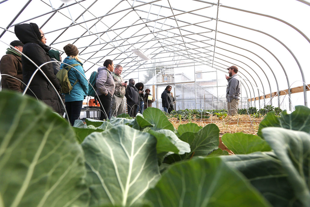 Interested in how to do urban agriculture production?